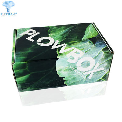 In ấn tùy chỉnh Eco Die Thân thiện Cắt Gói phẳng Hộp gấp nếp Hộp vận chuyển Dưa lưới