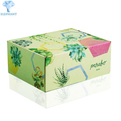 Hộp vận chuyển trái cây có kích thước bằng chuối 5 lớp